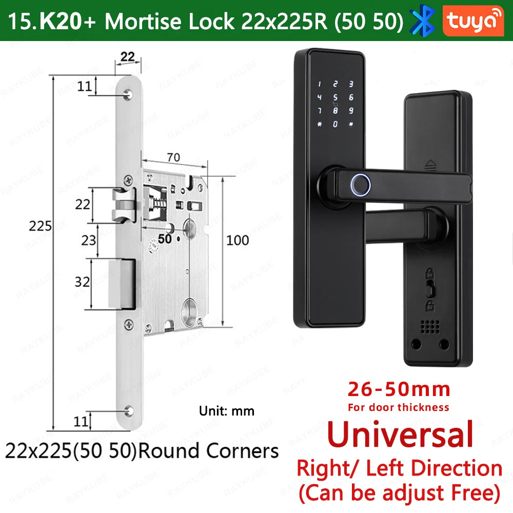 RAYKUBE K20 Biometric Fingerprint Door Lock Electronic Door Lock