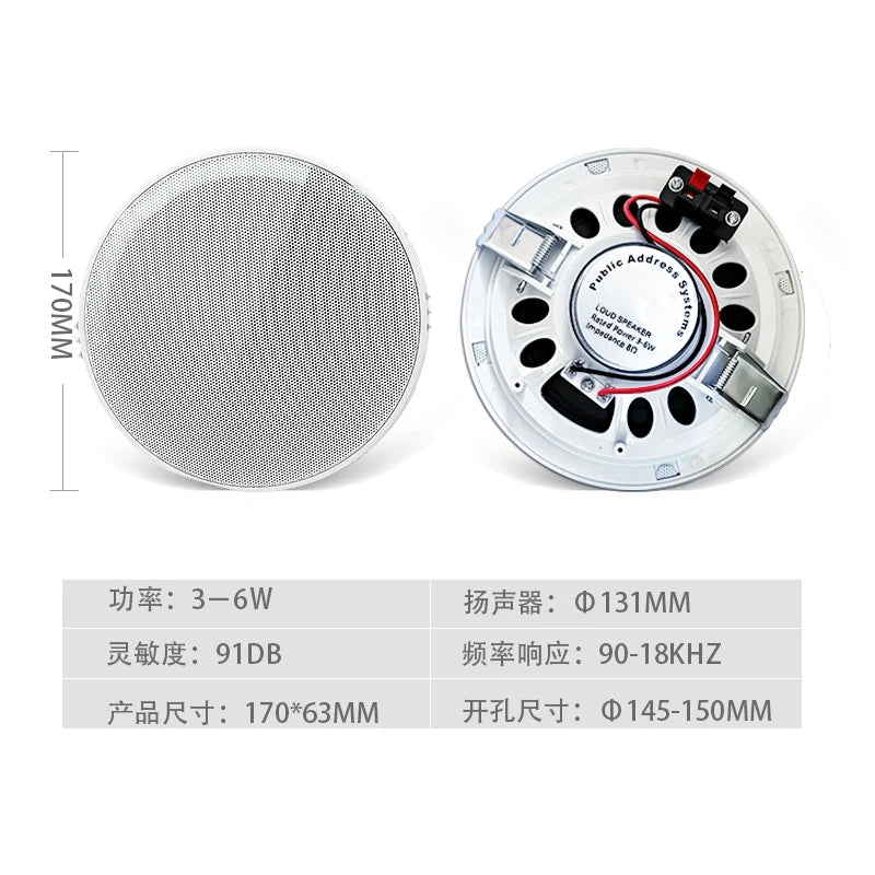 5 inch Passive Ceiling Speaker