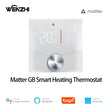Matter Warm Floor Room Heating Thermostat