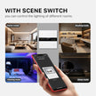 Tuya Zigbee Smart Scene Switch Lighting