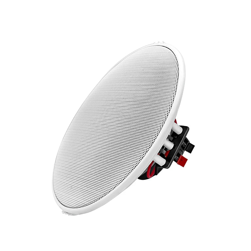 5 inch Passive Ceiling Speaker