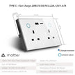 Melery Matter Smart Things Tuya USB Type C PD 20W Wall Socket