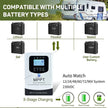 MPPT 100A 80A 230VDC  Solar Charge Controller