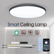 Smart Led Ceiling Lamp