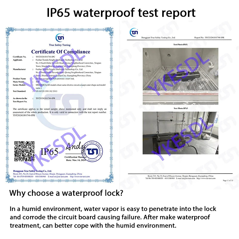 Alexa voice control smart door lock