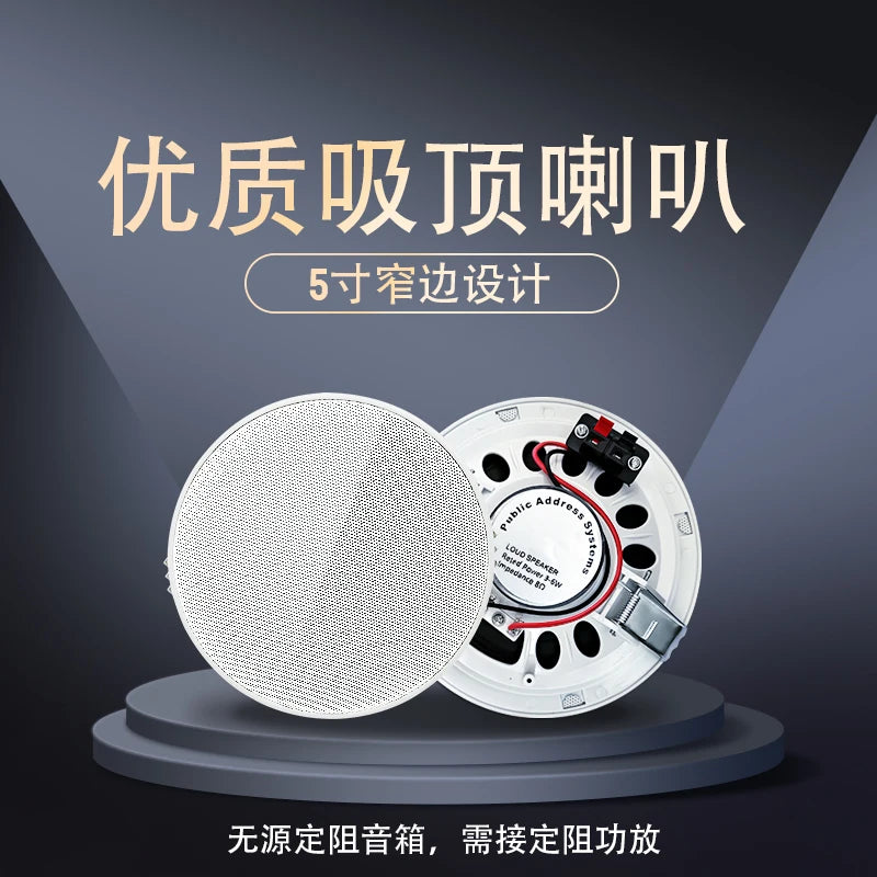 5 inch Passive Ceiling Speaker