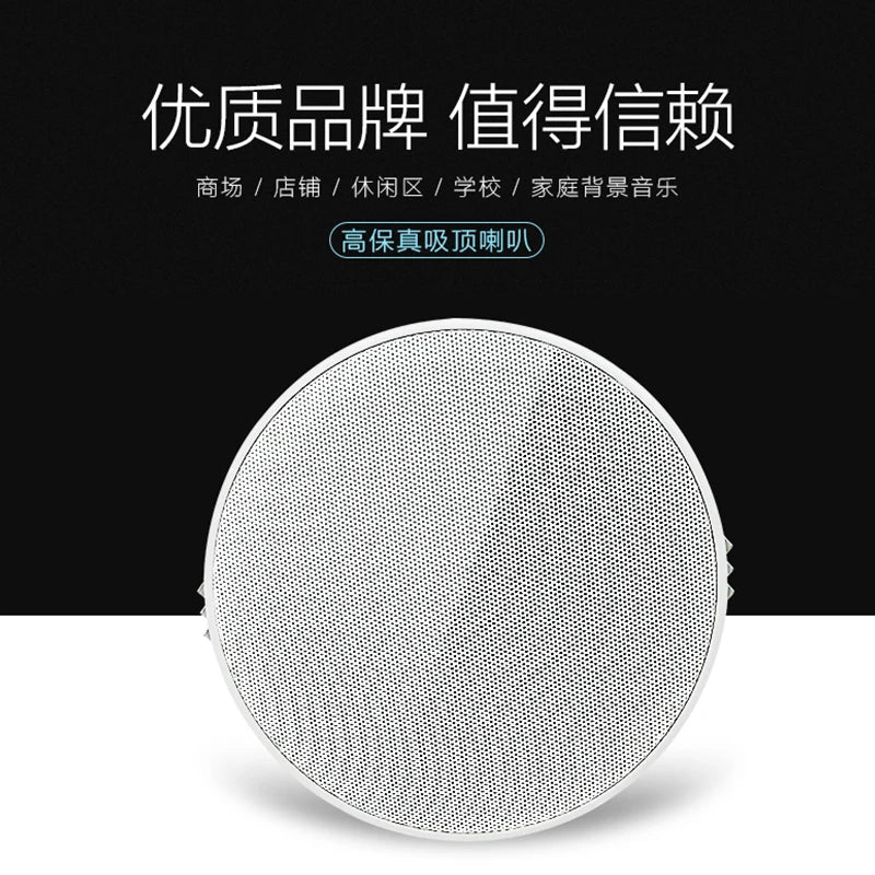 5 inch Passive Ceiling Speaker